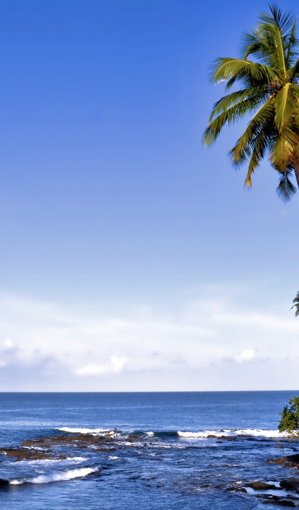 Осенний отпуск на Андаманских островах