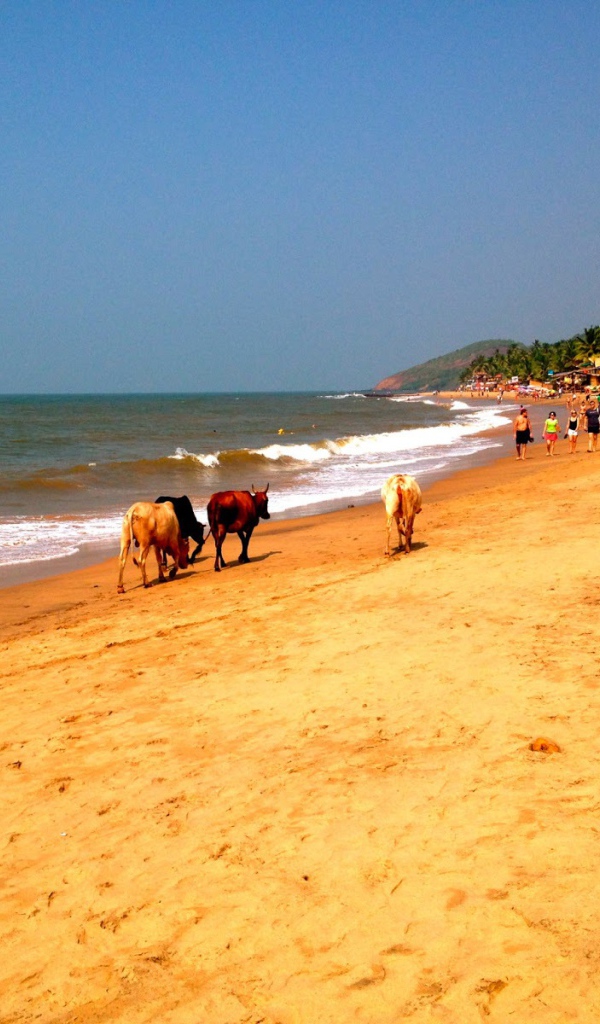 Пляжи в Анджуне