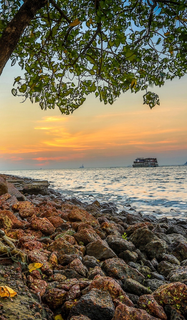 Красивые ландшафты в Гоа