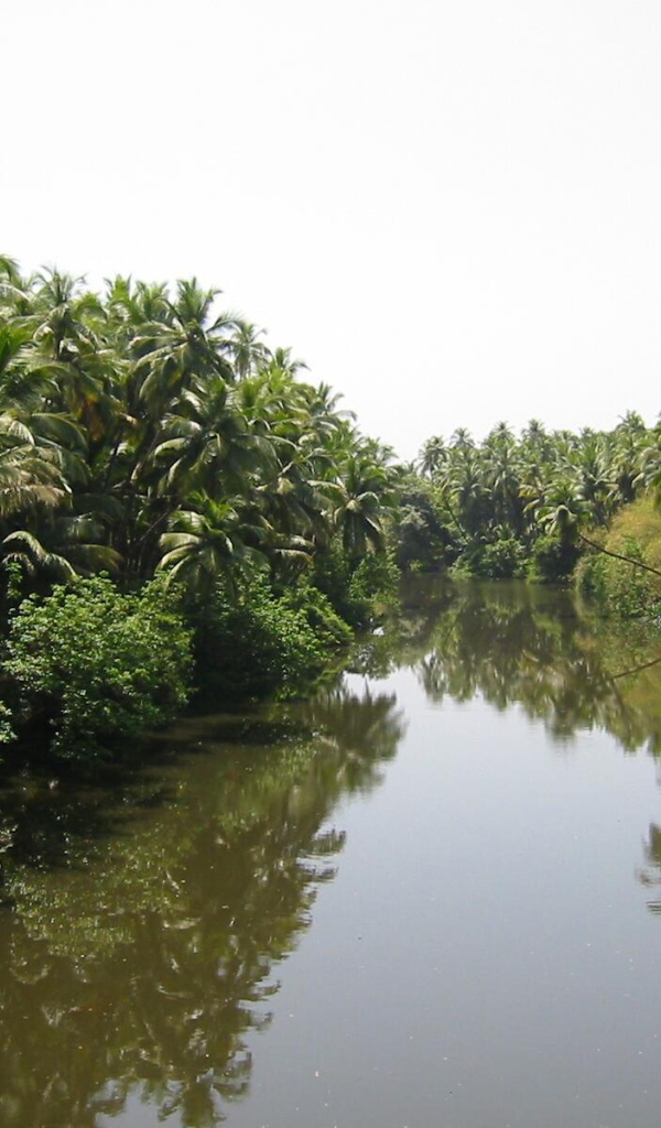 Красивая природа Гоа