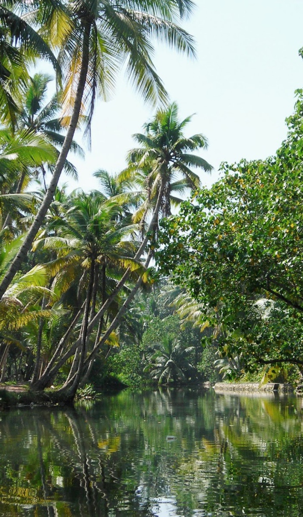 Красивая природа в Алапужа