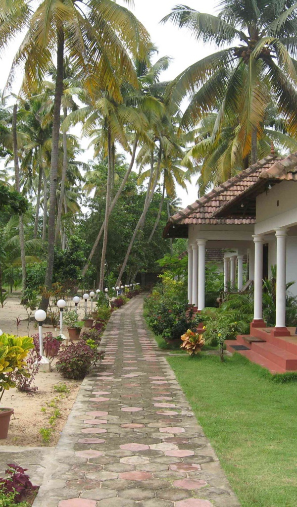 Красивые улицы в Алапуже