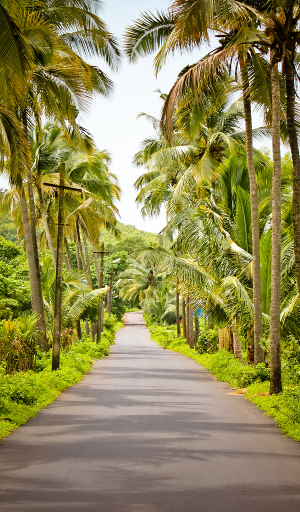 Красивые улицы в Гоа