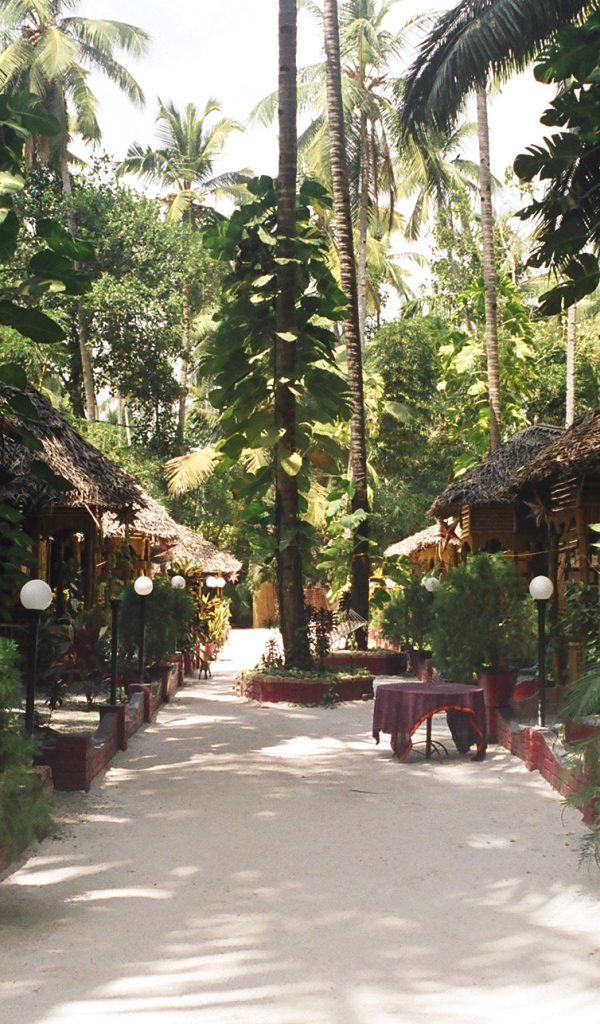 Красивые улицы в Варкале