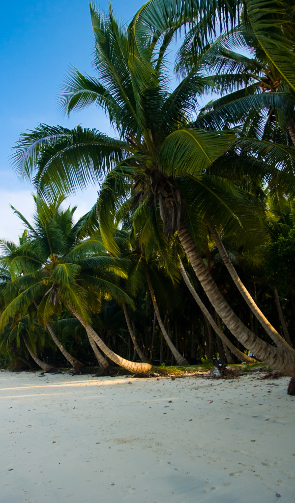 Красивые улицы на Андаманских островах