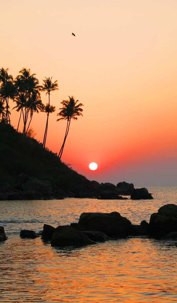 Вечер в Арамболе