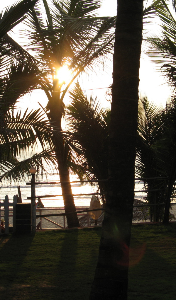 Вечером в Бенаулиме