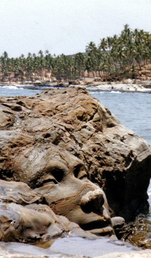 Лицо Шивы в Вагаторе