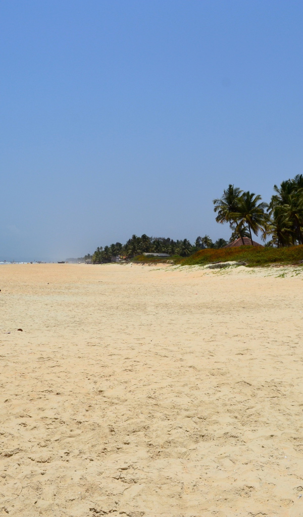 Отпуск на пляже в Бенаулиме