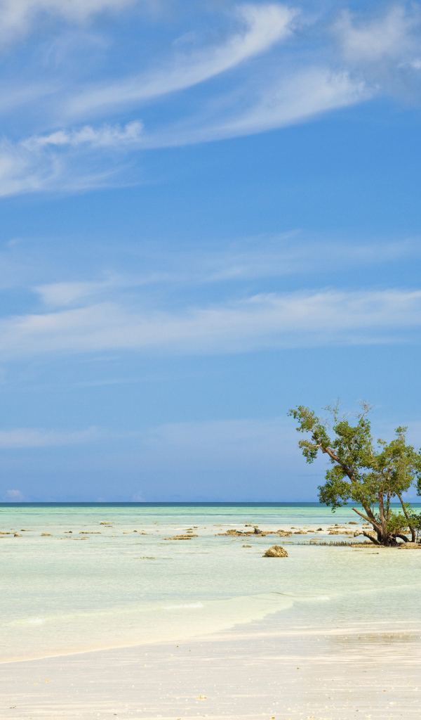 Отпуск на пляжах на Андаманских островах