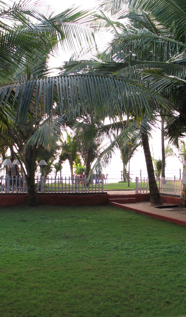 Ухоженные газоны в Бенаулиме