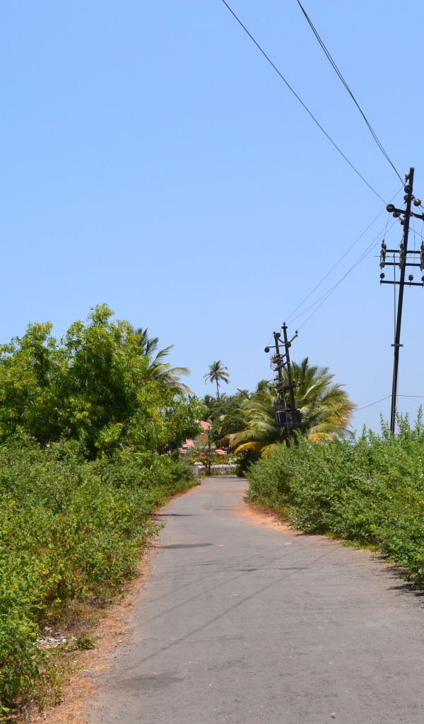 Природа в Бенаулиме