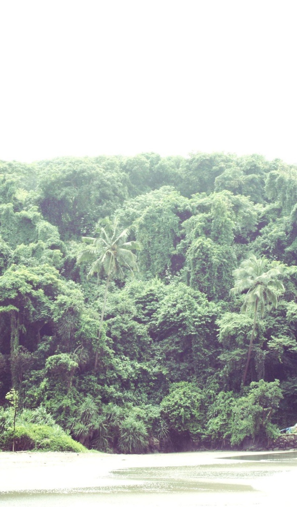 Природа в Вагаторе