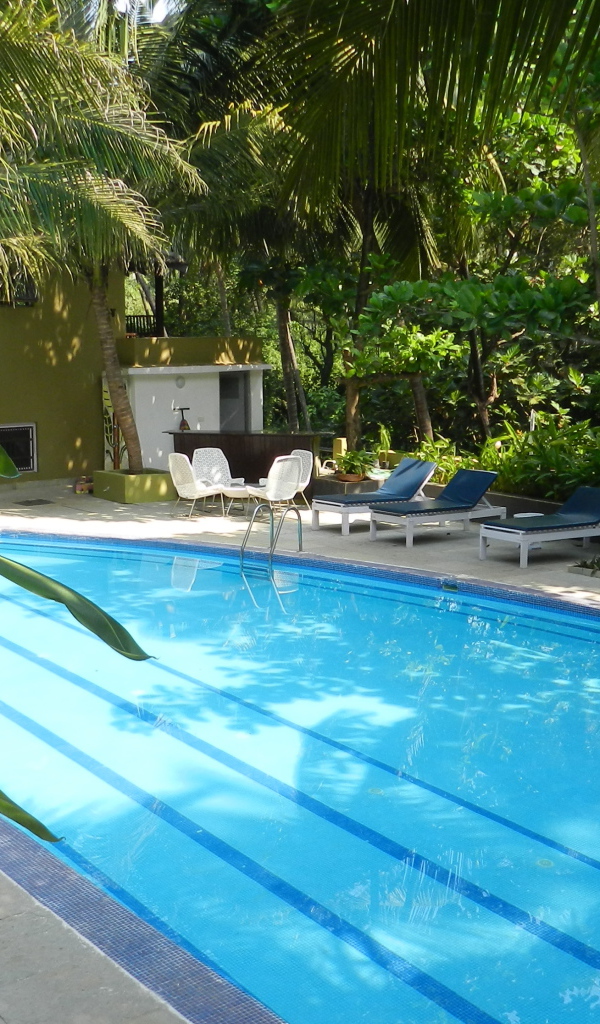 Бассейн в Вагаторе