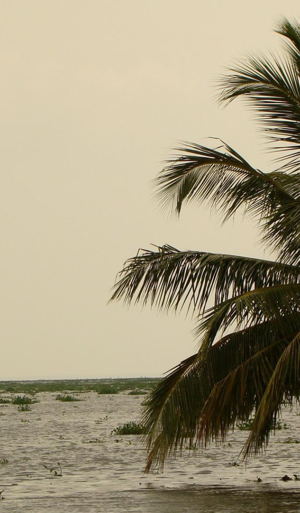 Весенний отпуск в Алапуже