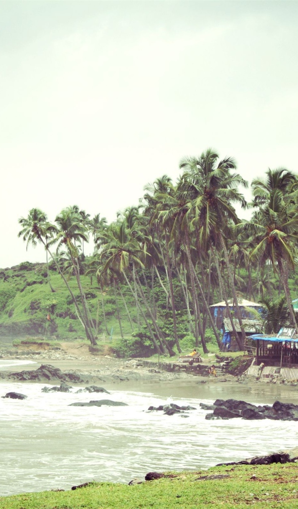 Весенний отпуск в Вагаторе