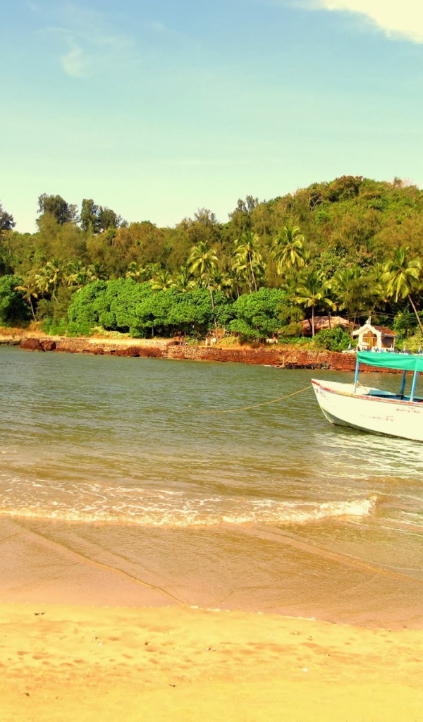 Летний отпуск в Баге