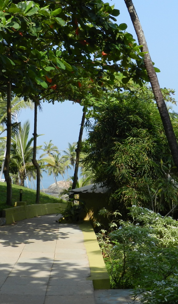 Летний отпуск в Анджуне