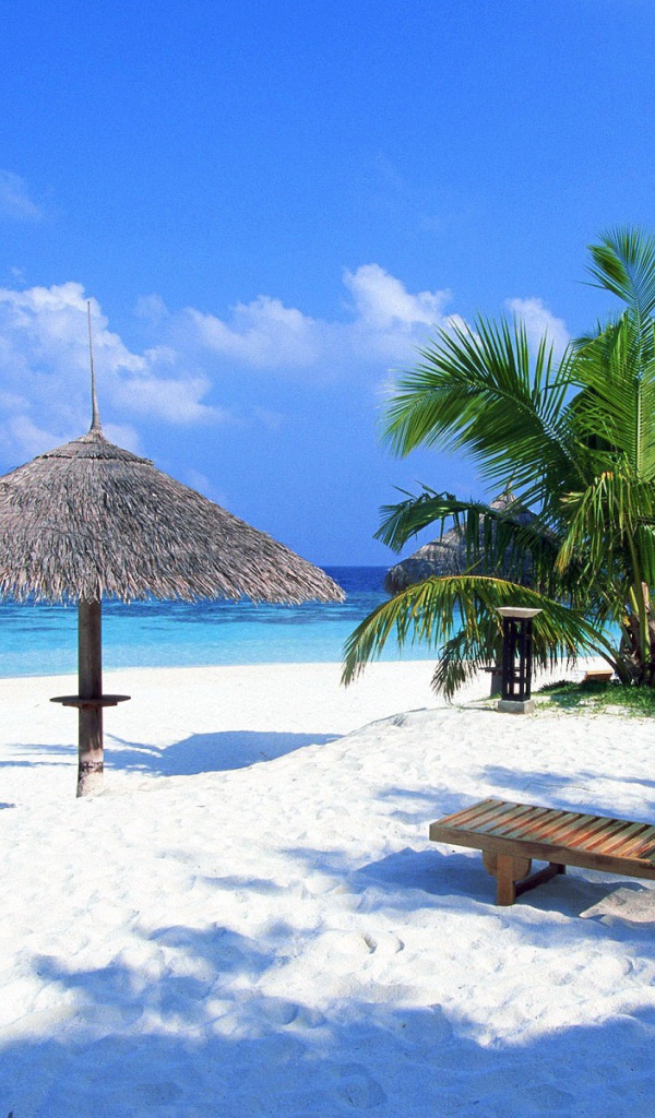 Летний отпуск в Гоа