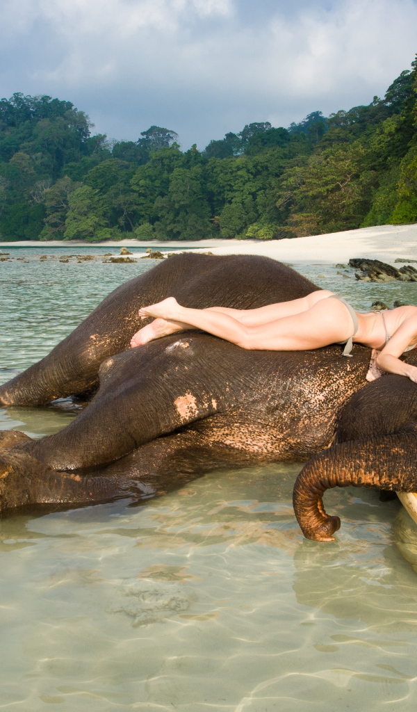 Девушка на слоне на Андаманских островах