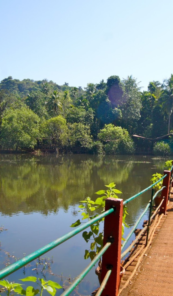 Туристы на мостике в Гоа