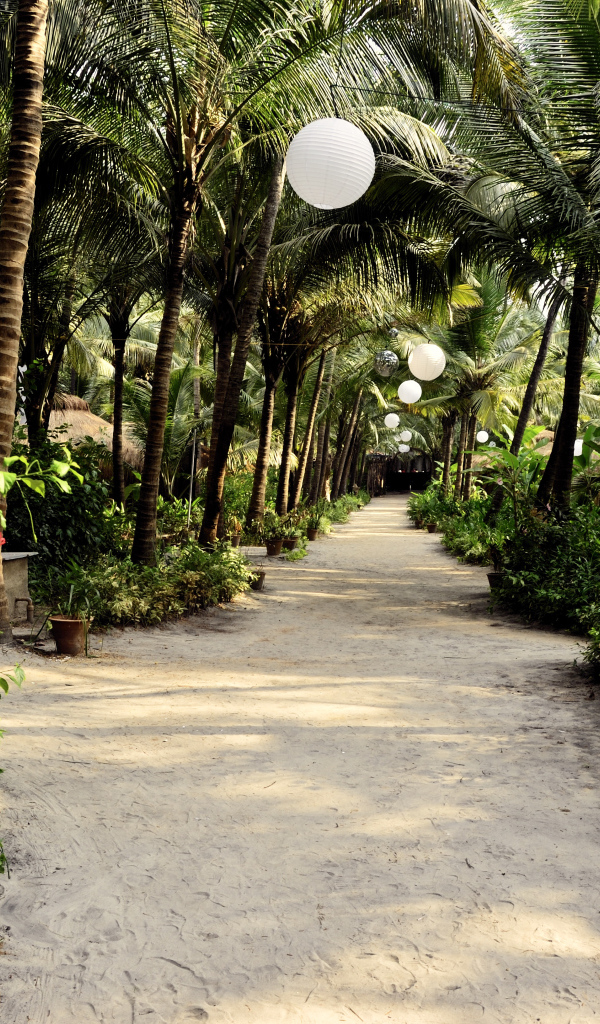 Прогулка по улицам Ашвема