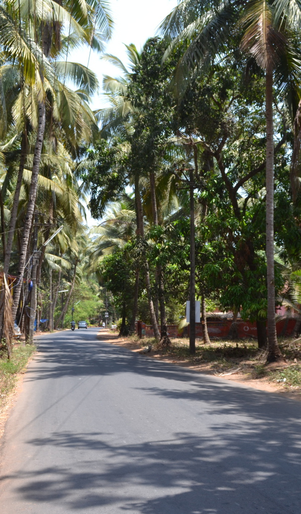 Прогулка по улицам Бенаулима