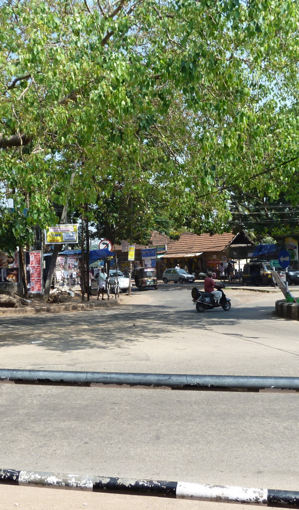 Прогулка по улицам Варкалы