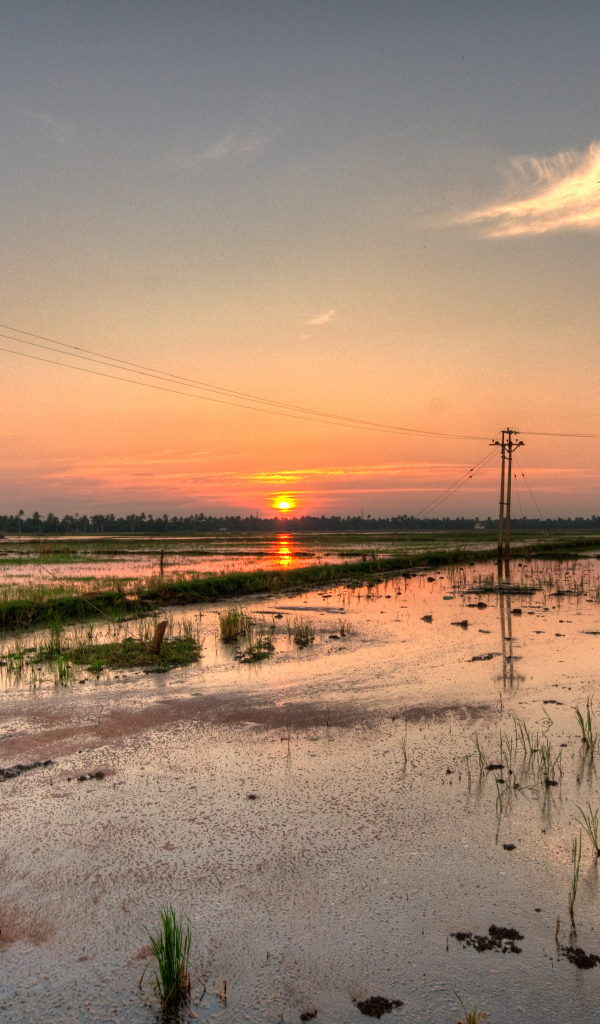 Водная местность в Алапуже
