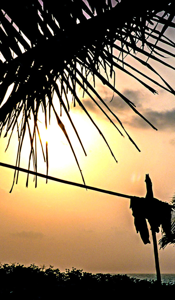 Чудесные закаты в Гоа