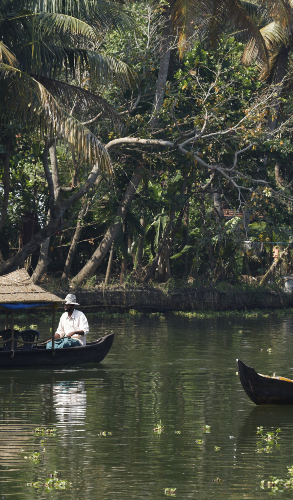 Чудесная погода в Алапуже