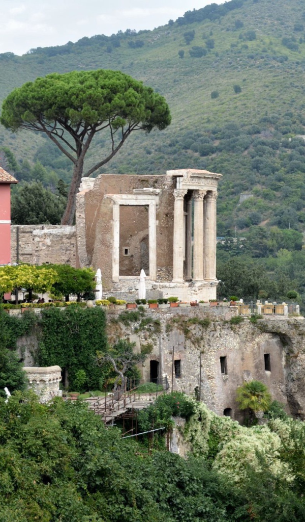 Гнездо хищной птицы в Тиволи, Италия