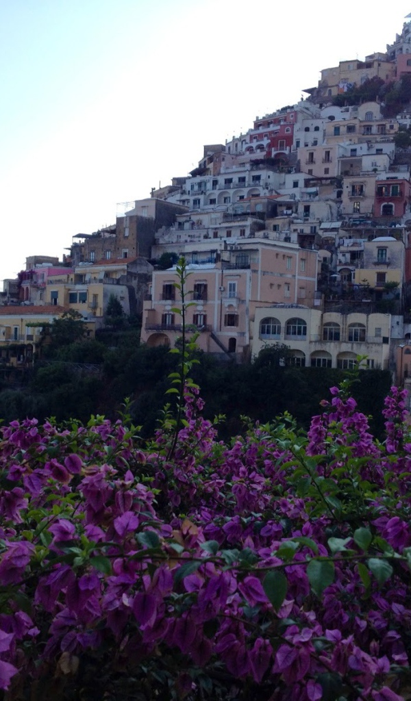 Цветущий город на курорте Позитано, Италия