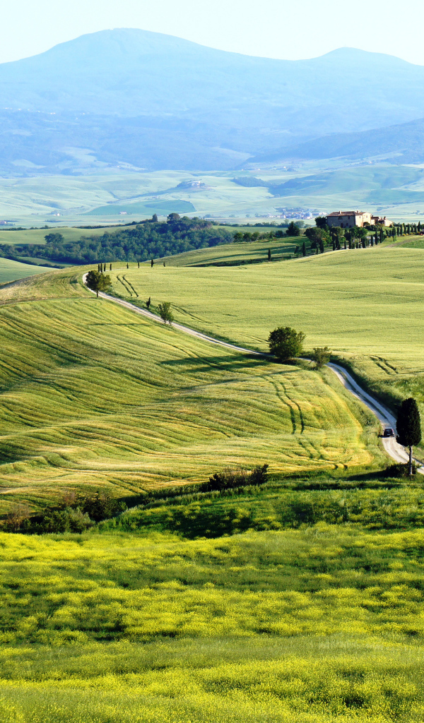 Поля рядом с городом Пьенца, Италия