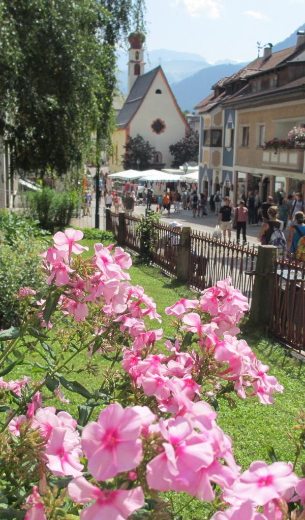 Цветы на клумбе на курорте Ортизей, Италия