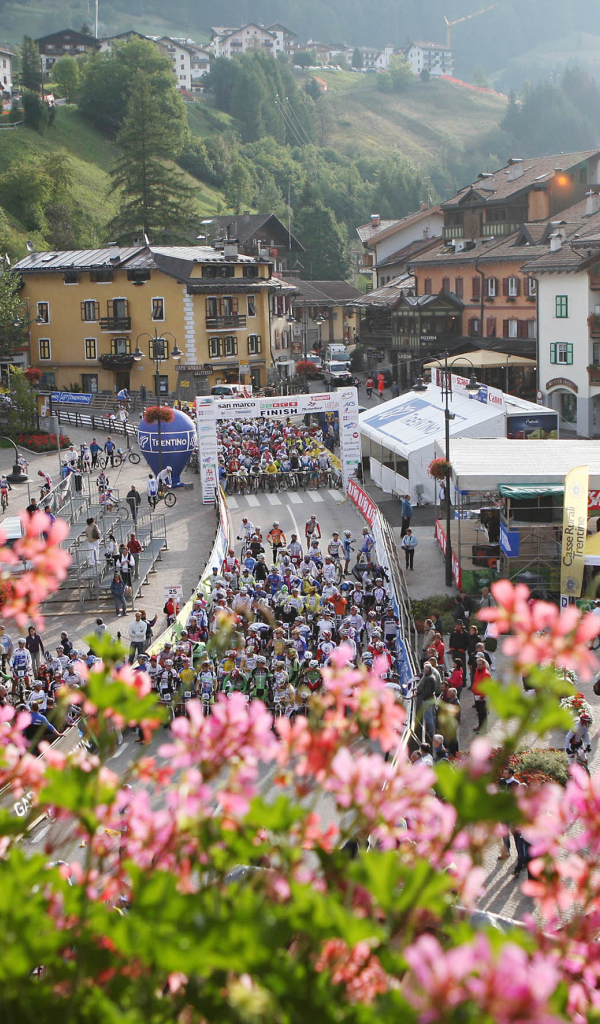 Цветы на горнолыжном курорте Валь-Ди-Фаса, Италия