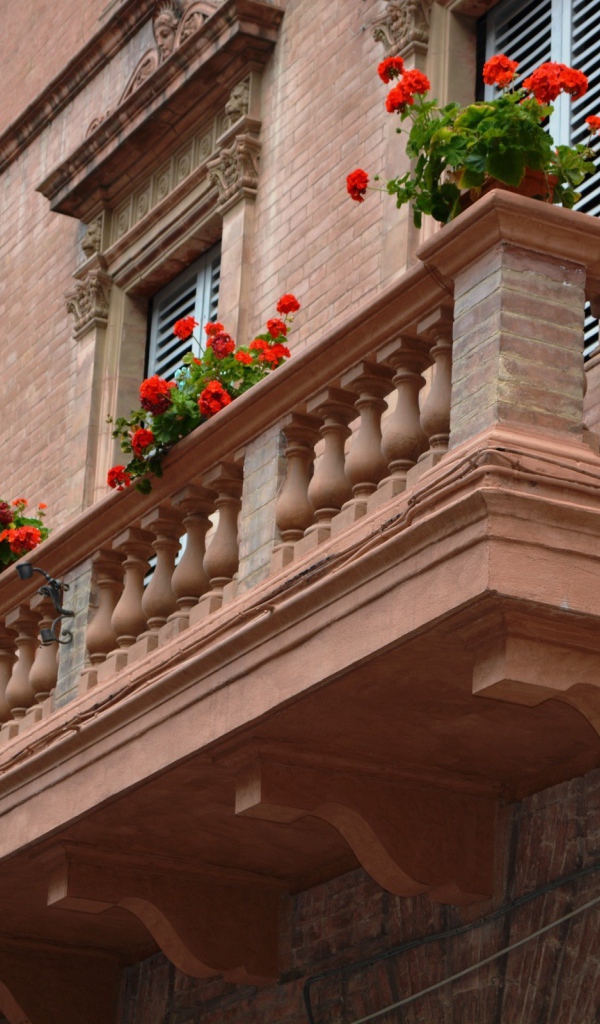Цветы на балконе в Сиене, Италия
