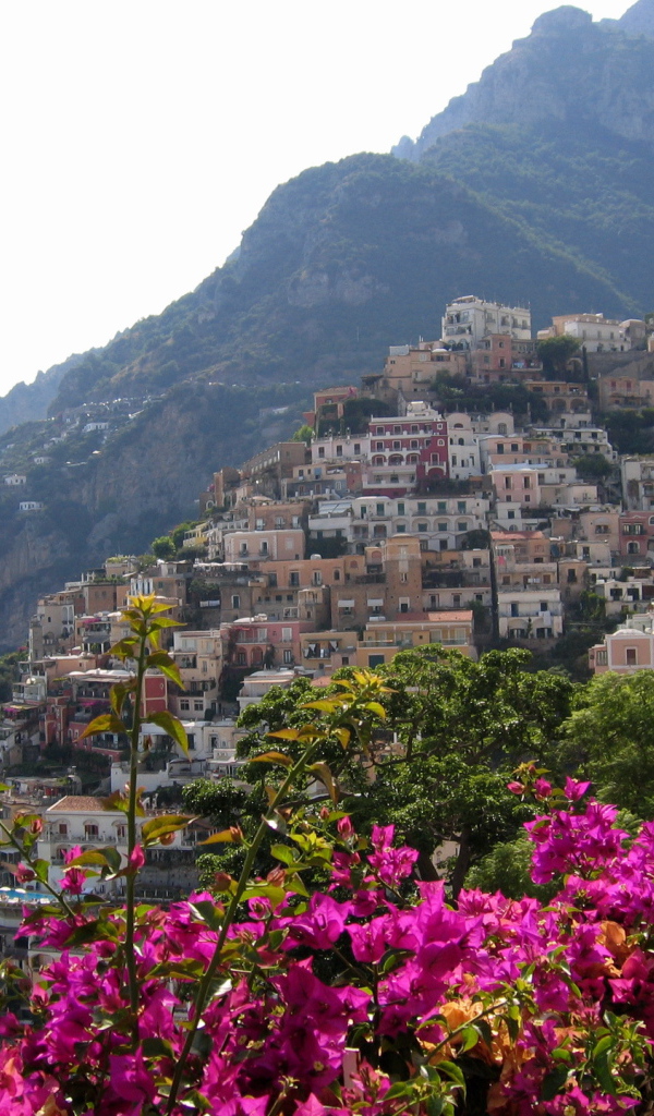 Цветы на фоне курорта Позитано, Италия