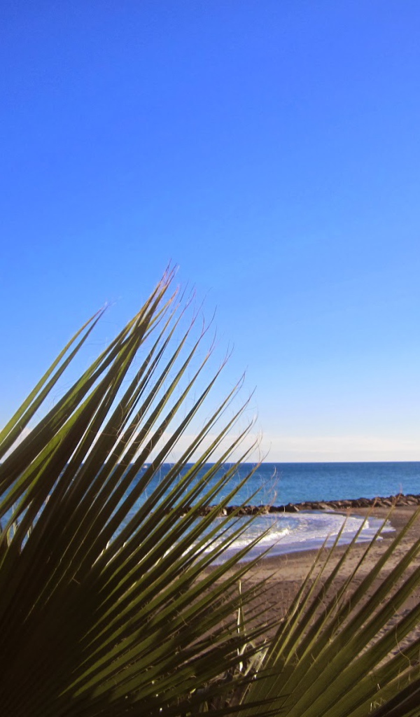 Золотой пляж в Лоано, Италия