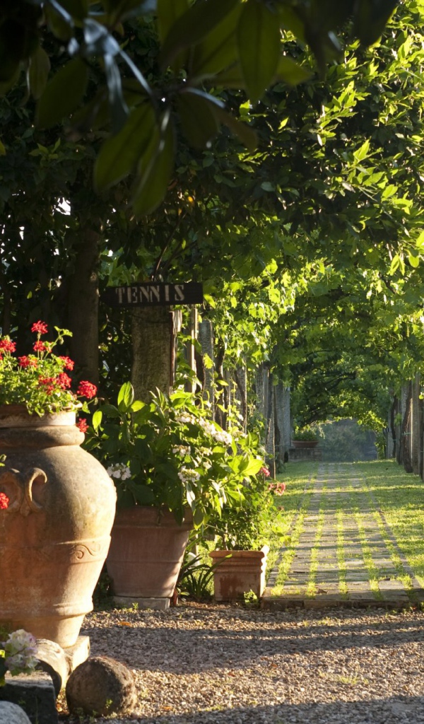 Зеленая аллея в Сиене, Италия