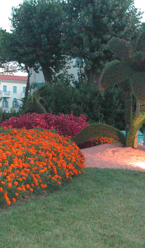 Великолепный сад на курорте Лидо ди Езоло, Италия