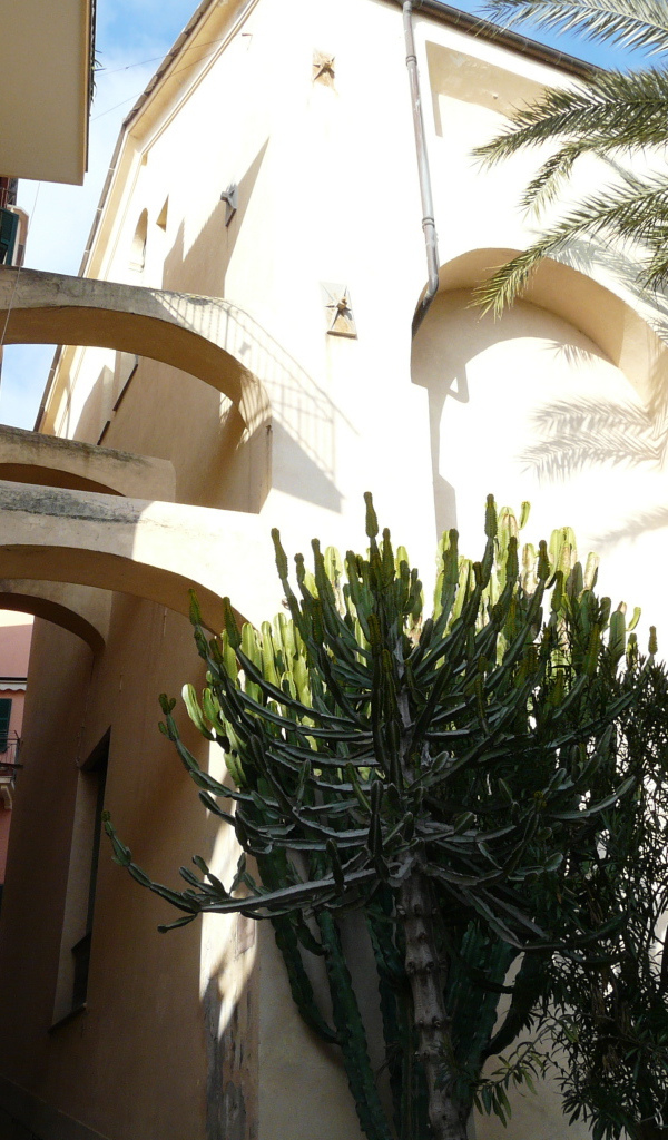 Узкие улочки в городе на курорте Бордигера, Италия