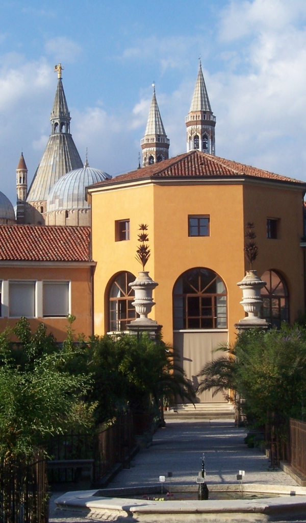 Орто Ботанико в Падуе, Италия