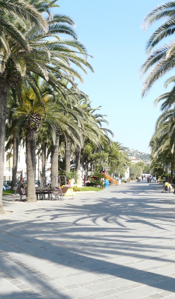 Пальмовая аллея на курорте Финале Лигуре, Италия
