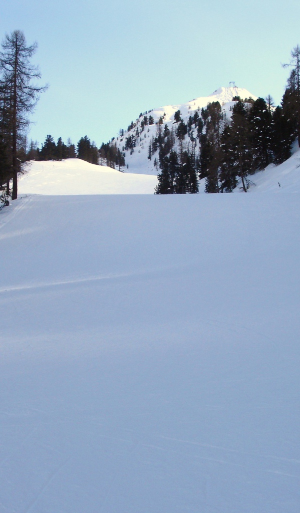 Снежные склоны в окрестностях курорта в Бормио, Италия
