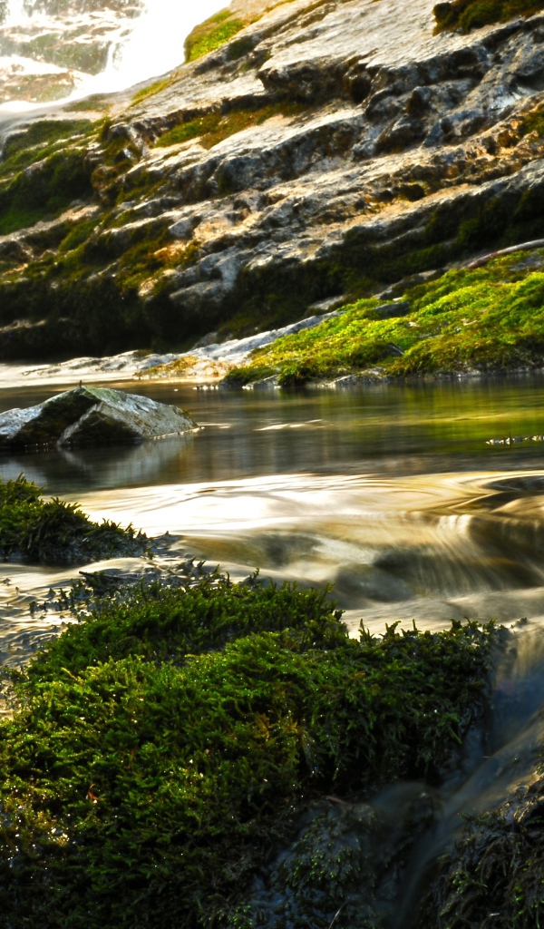 Летний пейзаж реки на горнолыжном курорте Валь ди Соль, Италия