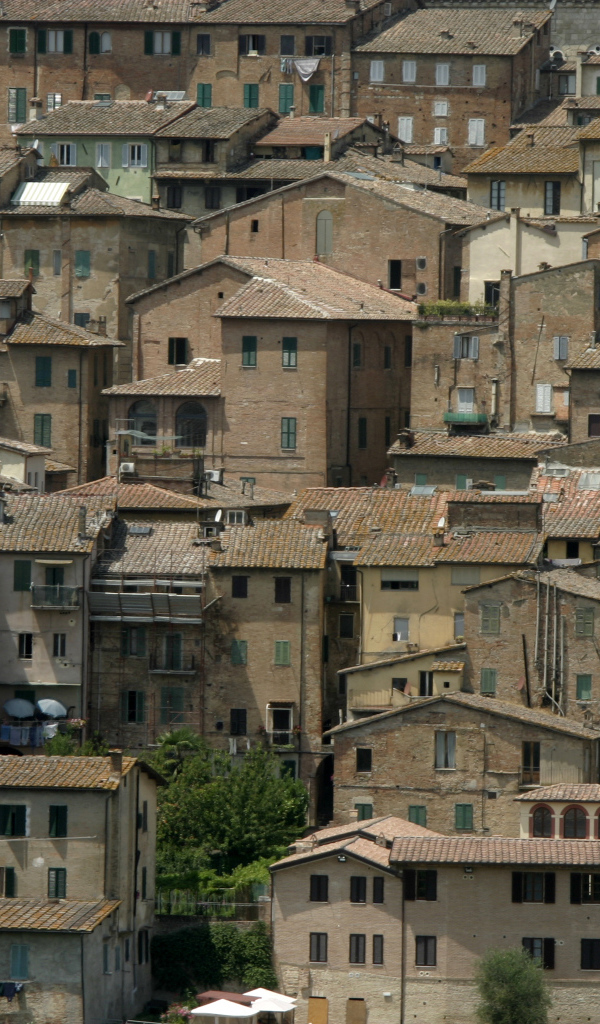Городские дома в Сиене, Италия
