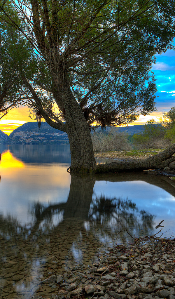 Деревья в озере, Абруццо, Италия