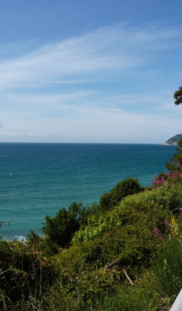 Деревья на набережной в Санто Стефано аль Маре, Италия