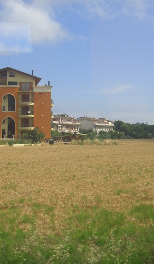 Пшеничное поле в Сан Марино, Италия